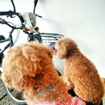Amanda Putri - Facebook