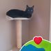 Amanda K Brading - Facebook