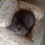 Amanda R Brainard - @brainbow82 - Instagram