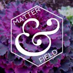 Amanda Brant - @matterandfield - Instagram