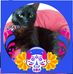 Amanda Brant - Facebook