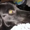Amanda Brant - @sammy7235 - TikTok