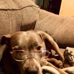 Amanda Bridges - Facebook