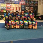 Amanda Bristow - @pwhsbristow - Instagram