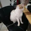 Amanda Brits - @amanda.brits - TikTok