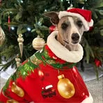 Amanda Brummer - Facebook