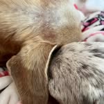 Amanda Brumley - @brumley1970 - Instagram