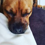 amandabuster2020 - @helpmyseld - Instagram