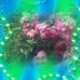Amanda Bustos - Facebook