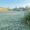 Amanda bustos - @amandibustitos - TikTok