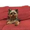 amandabustos - @amandabustos132 - TikTok