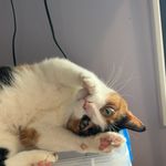 Amanda Byrum - @byrum5893 - Instagram