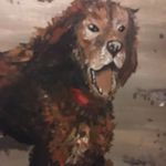 Amanda Caffrey - @amanda.caffrey.90 - Instagram