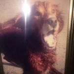 Anna Rose Caff - @amanda_caffrey_123 - Instagram