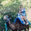 Amanda Cate650 - @amandacate_etal - TikTok