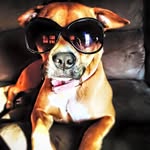 Amanda Caudill - @dreamempoweredcreations - Instagram