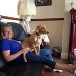 Lisa Amanda Cawley - @cawleylcawley - Instagram