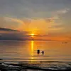 Amanda Chatelain340 - @amandac12345 - TikTok