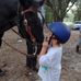 Amanda Chester - Facebook