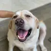 amanda.chia - @amanda.chia - TikTok