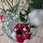 Amanda Christoffers - @amanda.christoffers.3 - Instagram