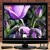 Amanda Kumm Christou - Facebook