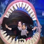 Amanda Chronister - @amanda.chronister.944 - Instagram