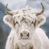 Amanda Clatterbuck - @amanda.clatterbuc4 - TikTok