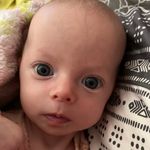 Amanda Cleland - @mamamandershow_pnw - Instagram