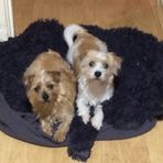 Amanda Clements - Facebook