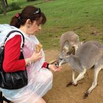 Amanda Clements - @clements7001 - Instagram