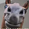 Amanda Clough - @amanda.clough0 - TikTok