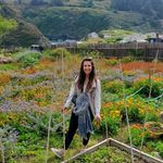 Amanda Coad Steinbarger - @amandathebarger - Instagram