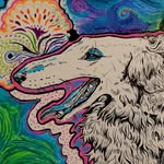 Amanda Coakley - @coakesam1 - Instagram