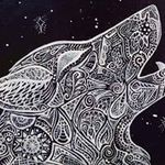 Amanda Copus - @copusamanda - Instagram