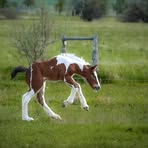 Amanda Cordell - Facebook