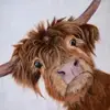 Amanda Cordell - @amanda.cordell4 - TikTok