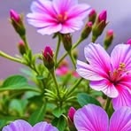 Amanda Cordero - Facebook