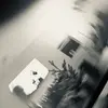 cottoamanda - @cottoamanda - TikTok