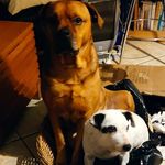 Amanda Coy Edwards - @coys_photography_ - Instagram