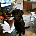Amanda Crowell - @ac420ac - Instagram