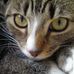 Amanda Crump - Facebook