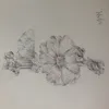 amanda_cueto  - @amanda_cueto - TikTok