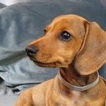 amanda curley - @mandy_curley38 - Instagram