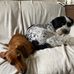 Amanda Curley - Facebook