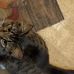 Amanda Currence - Facebook