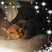 Amanda Cusson - Facebook