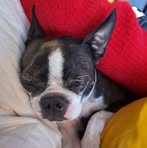 Amanda Dague Hook - Facebook