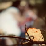 Amanda Daugherty - @treasured_moments_19 - Instagram