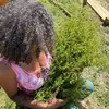 amanda david - @rootworkherbals - TikTok
